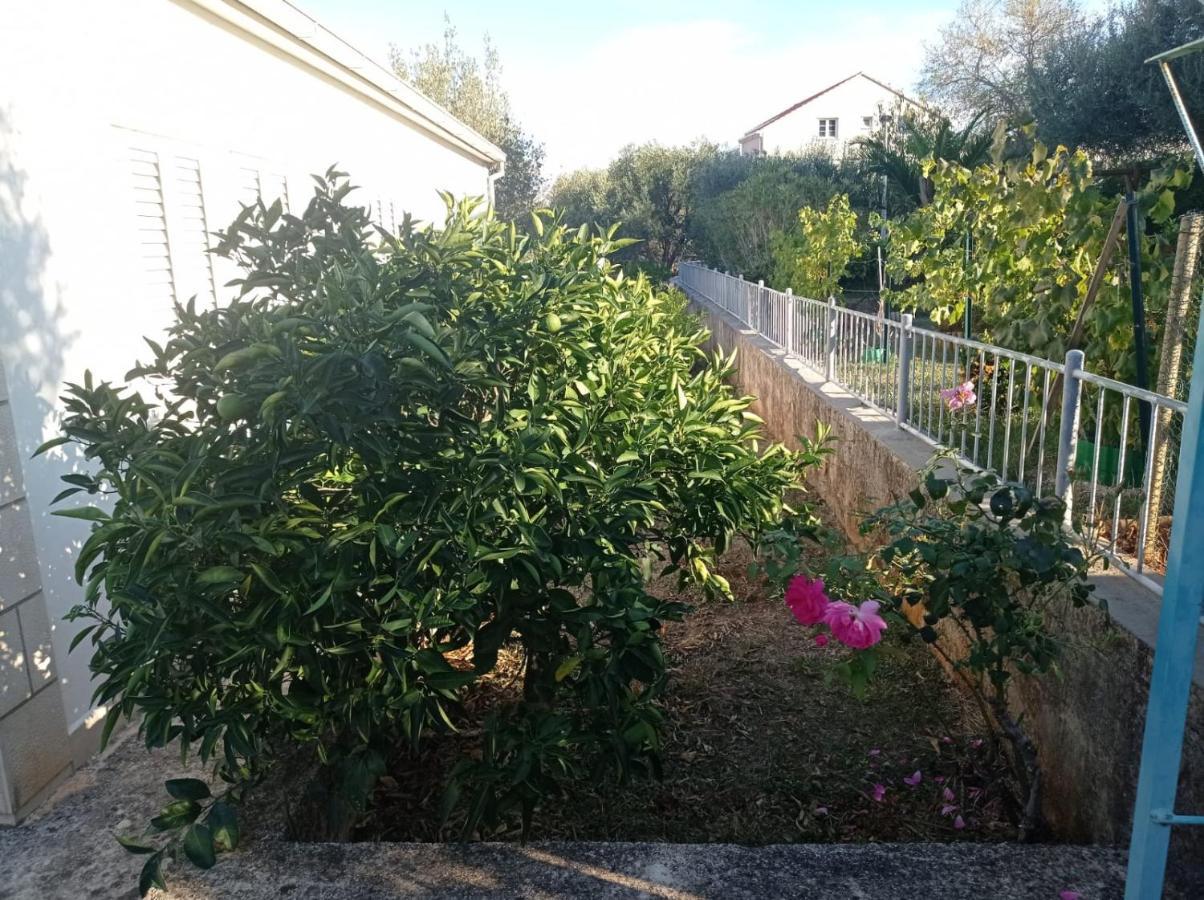 My Mediterranean Villa With Huge Garden And Own Parking Lumbarda Kültér fotó